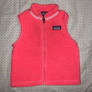 Patagonia SYNCHILLA Vest
